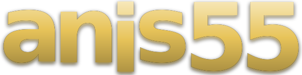 anis55 logo